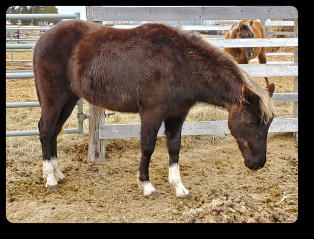 Quincy at 2 1/2 yrs old