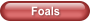 Foals