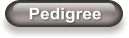 Pedigree