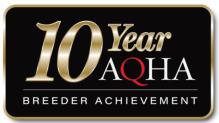 CQHA logo